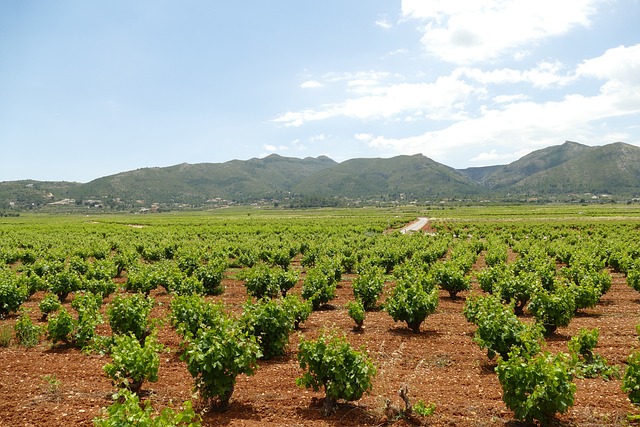 Wie heißt die Küste von Alicante und Murcia?